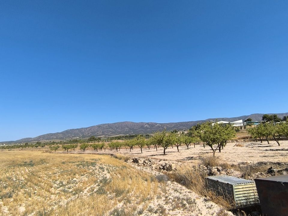 Helårsgrund i Monovar, Alicante - foto 2