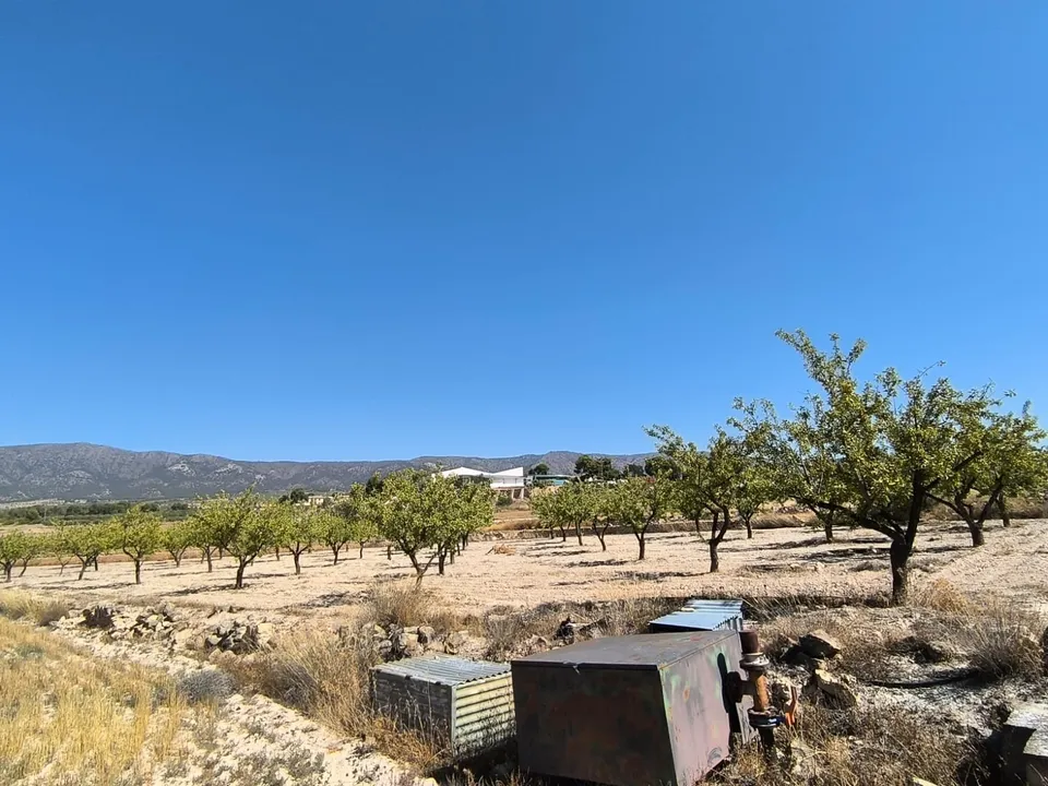 Helårsgrund i Monovar, Alicante - foto 3