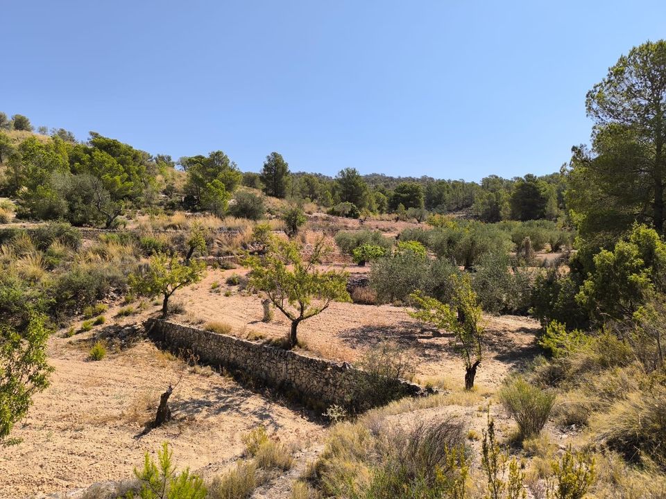 Grond in Monovar, Alicante - foto 2