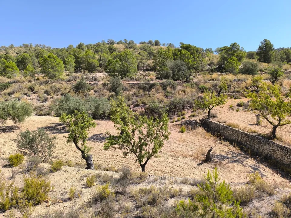 Grond in Monovar, Alicante - foto 3