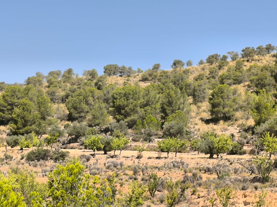 Grond in Monovar, Alicante - foto 2
