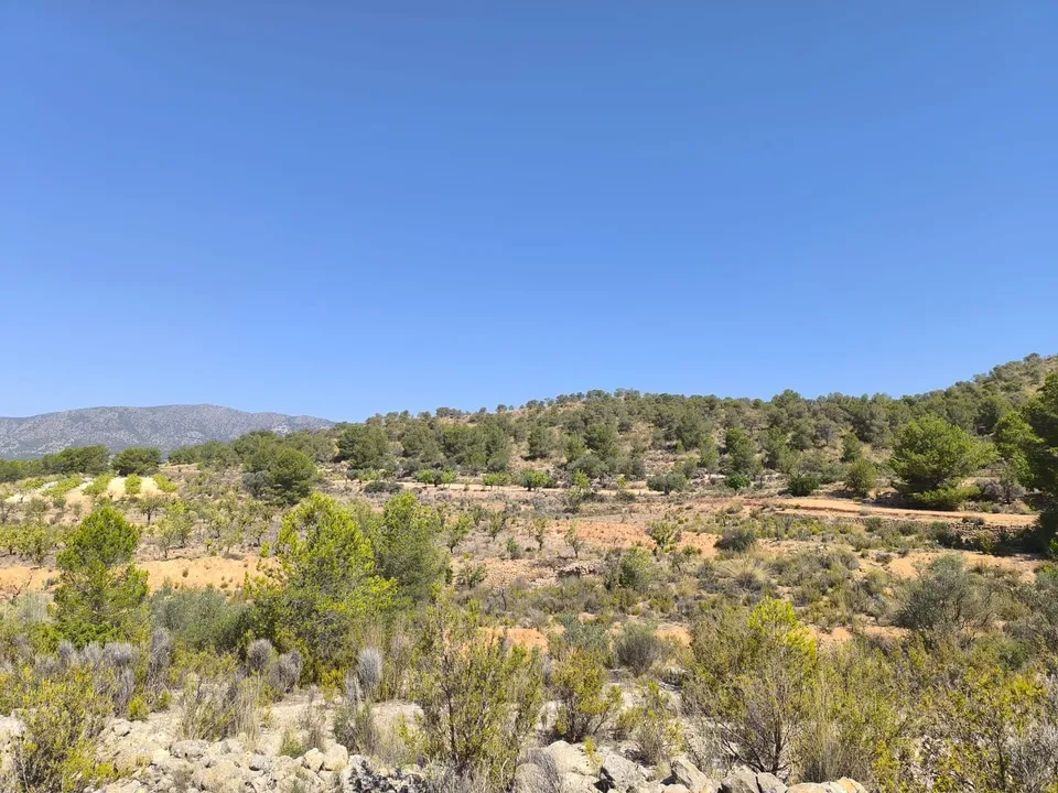 Grond in Monovar, Alicante - foto 3
