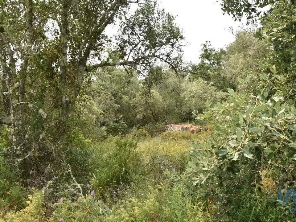 Helårsgrund i Ferreira do Zezere, Santarem - foto 1