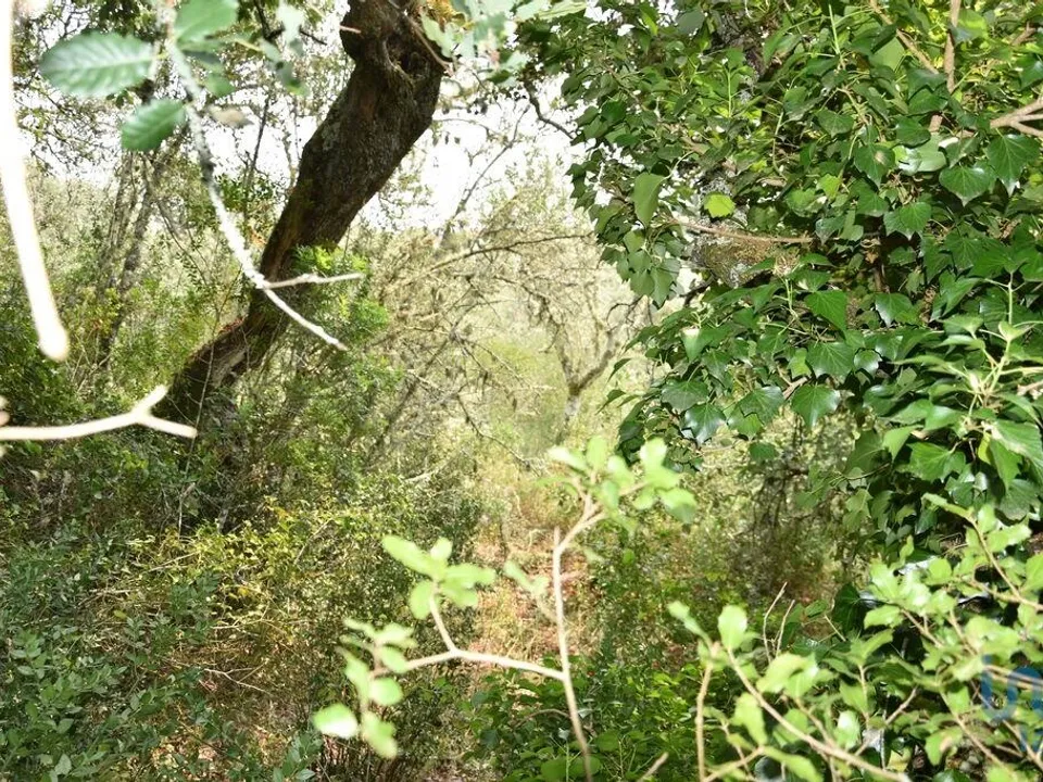 Helårsgrund i Ferreira do Zezere, Santarem - foto 5