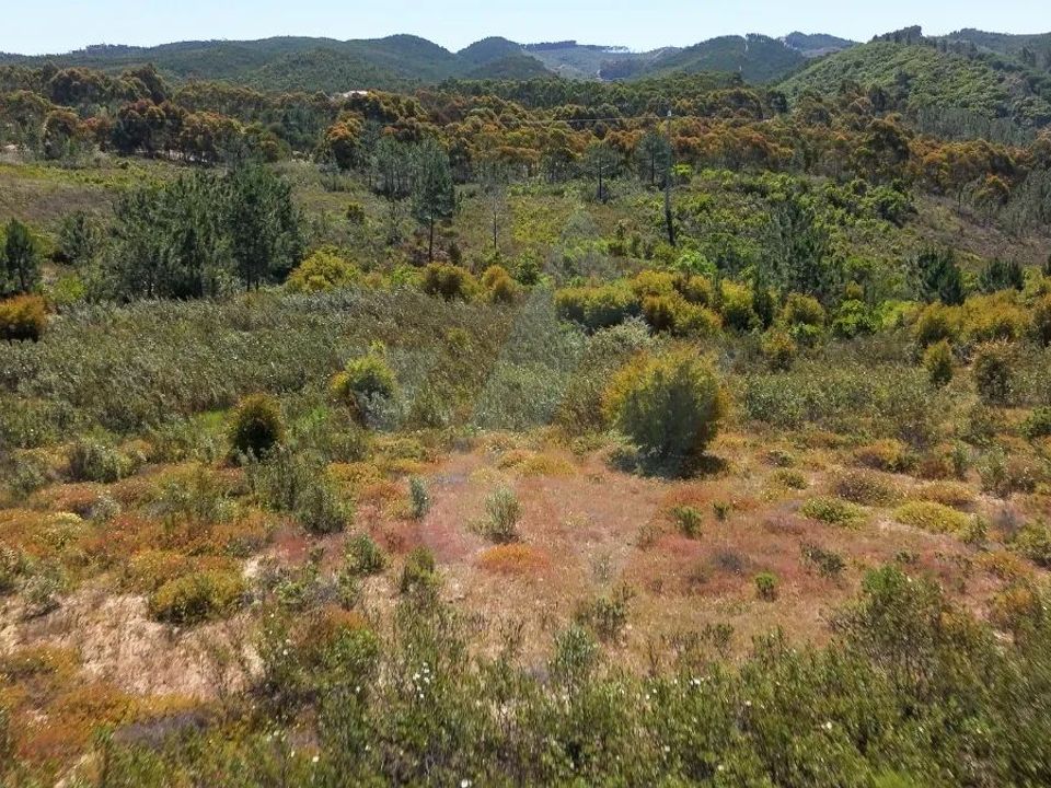 Tomt i Aljezur, Faro - bilde 5