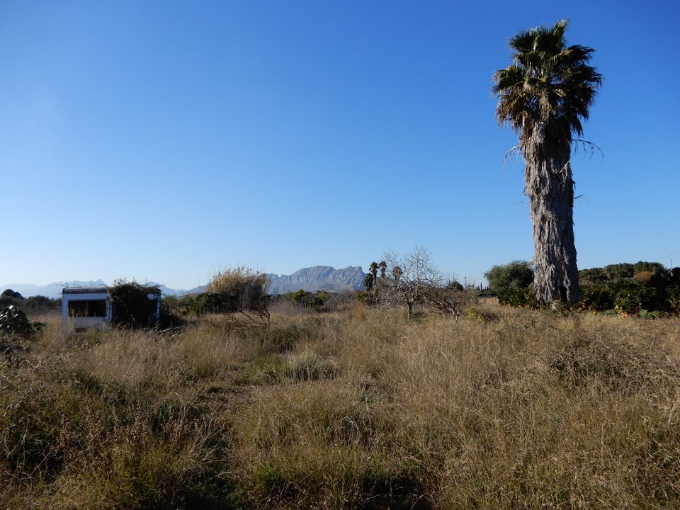Helårsgrund i Pedreguer, Alicante - foto 3
