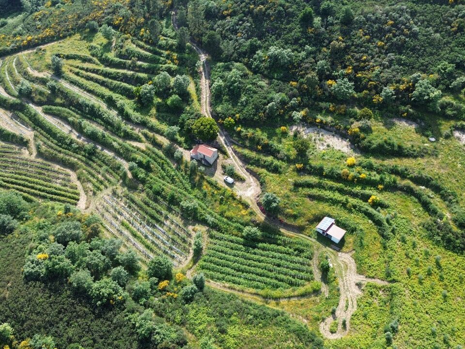 Farm i Santiago de Cassurraes e Povoa de Cervaes, Viseu - foto 3
