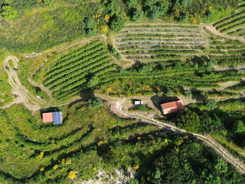 Farm i Santiago de Cassurraes e Povoa de Cervaes, Viseu - foto 4