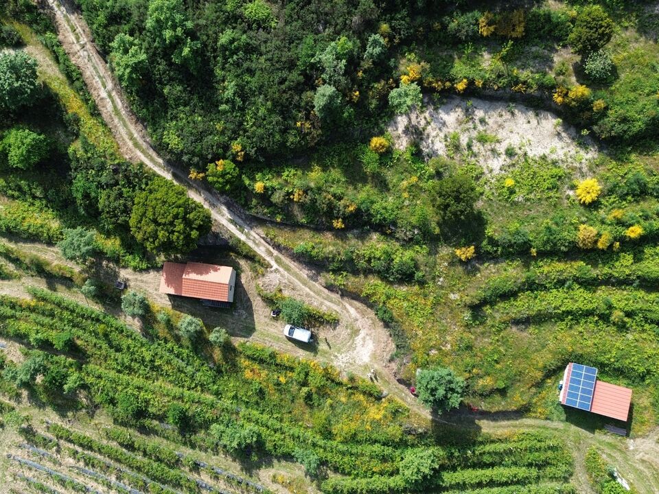 Farm i Santiago de Cassurraes e Povoa de Cervaes, Viseu - foto 5