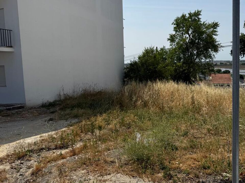 Tomt i Azambuja, Lisbon - bilde 2