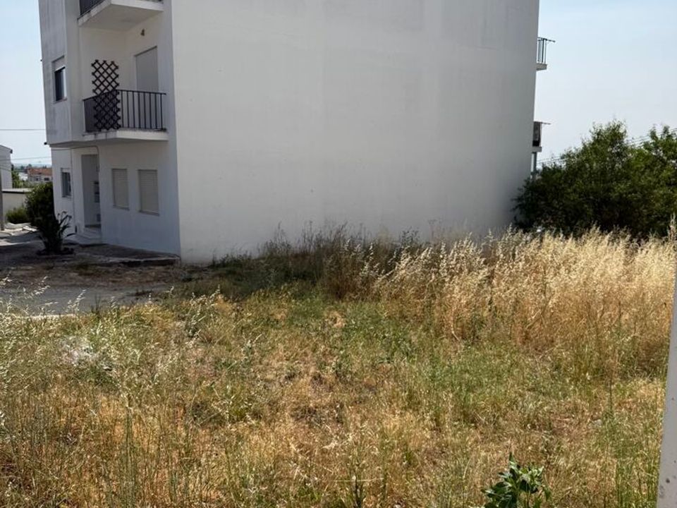 Tomt i Azambuja, Lisbon - bilde 4