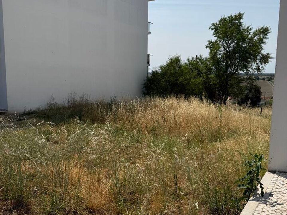 Tomt i Azambuja, Lisbon - bilde 5