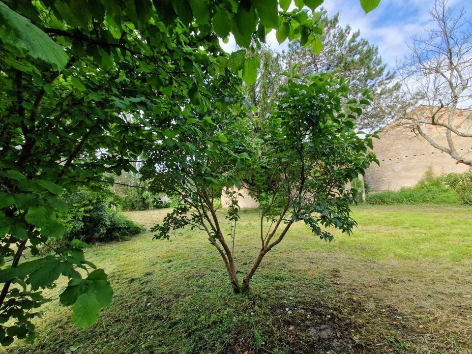 Helårsgrund i Saint-Ciers-sur-Gironde, Gironde - foto 5