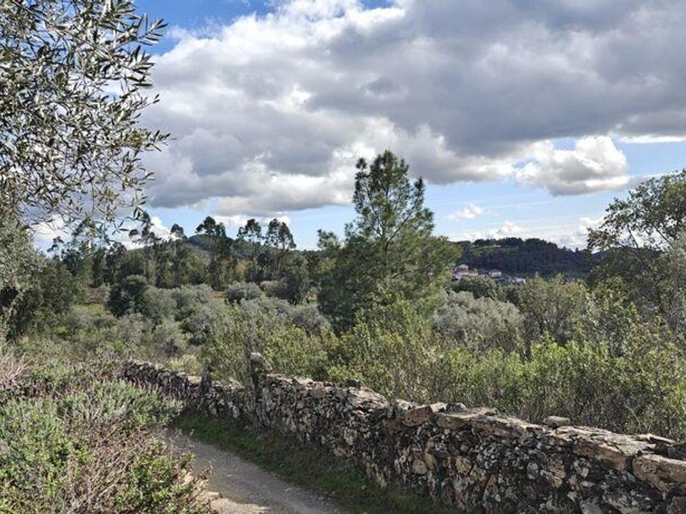 Helårsgrund i Penamacor, Castelo Branco - foto 3