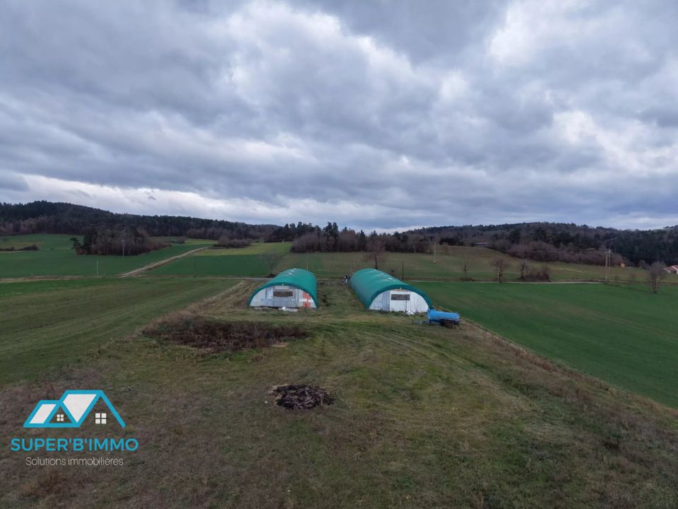 Erhvervsejendom i St.-Privat-du-Dragon, Haute-Loire - foto 2