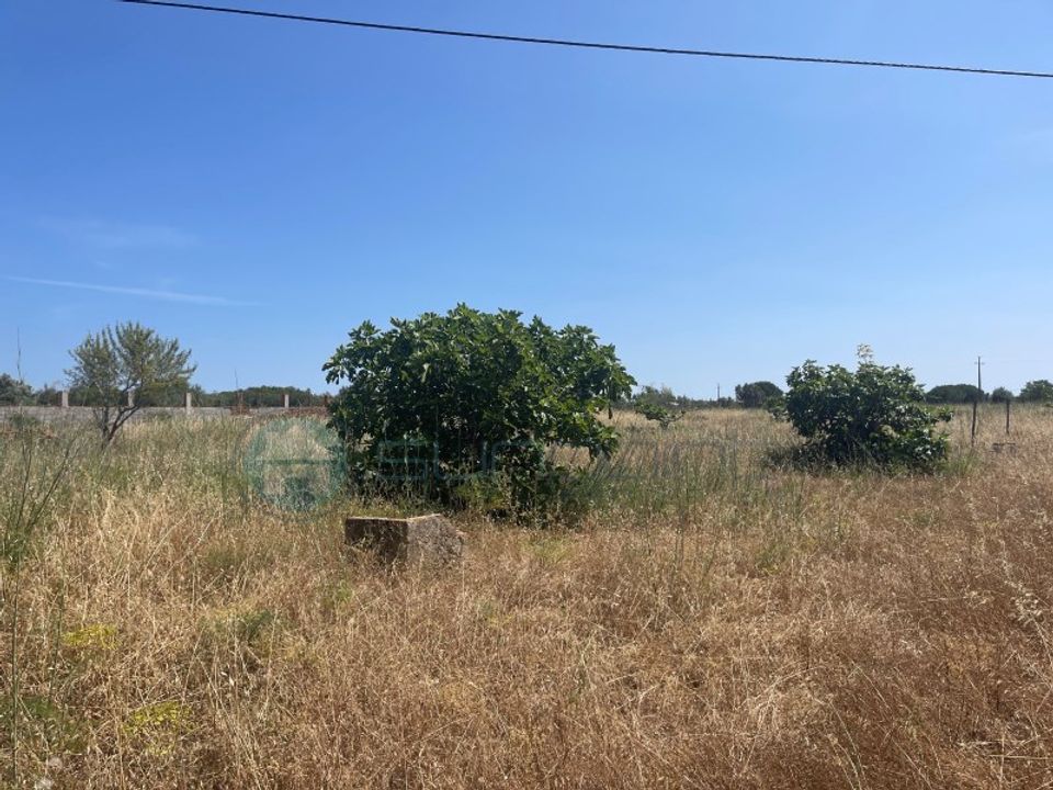 Helårsgrund i Bensafrim, Faro - foto 2