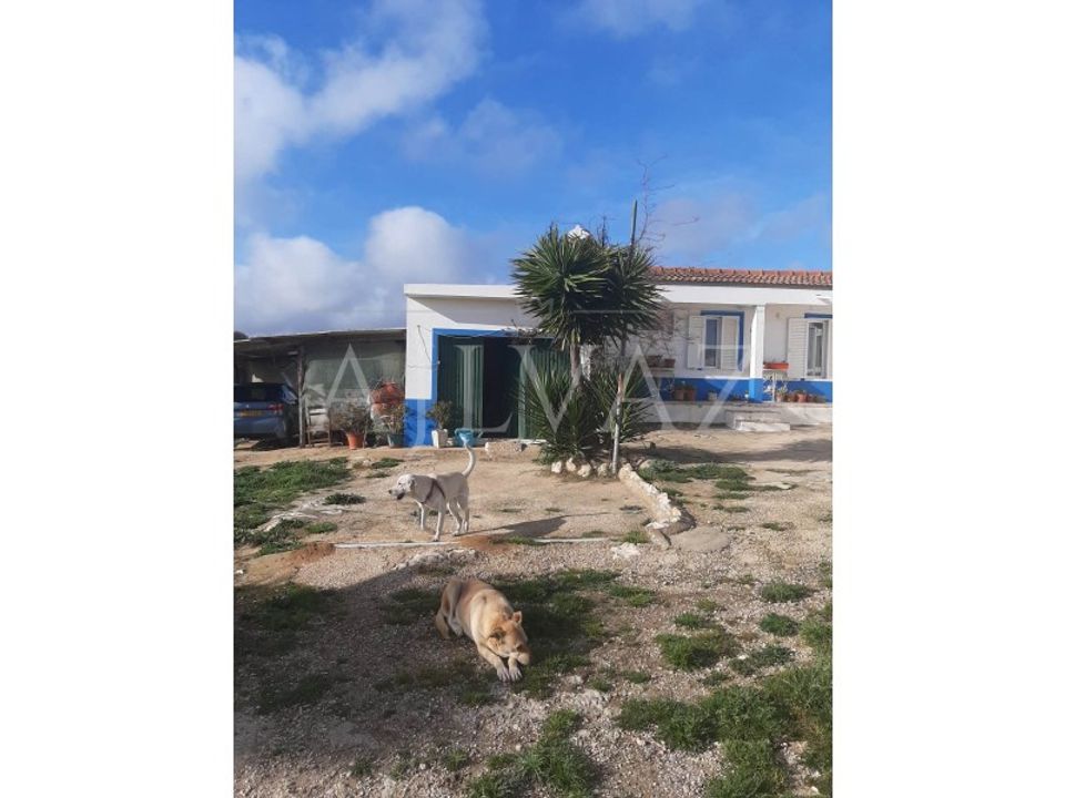 Farm i Luz, Faro - foto 3