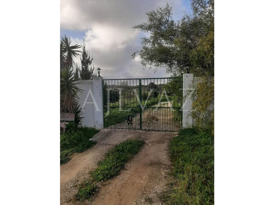 Farm i Luz, Faro - foto 4