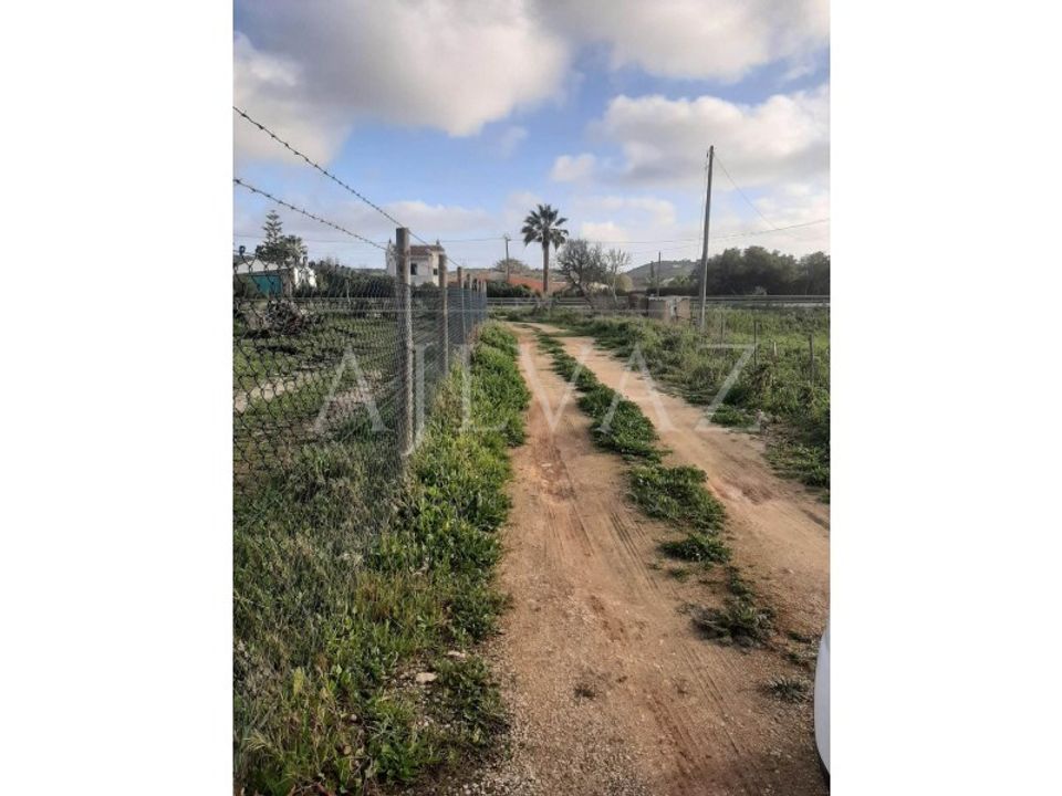 Farm i Luz, Faro - foto 5