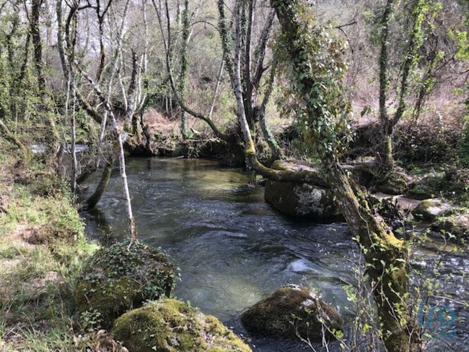 Helårsgrund i Tondela, Viseu - foto 2