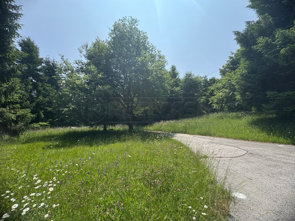 Lejlighed i Lusiana Conco, Vicenza - foto 2