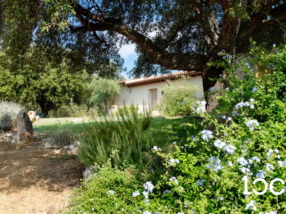 Villa i Padru, Olbia Tempio - foto 1