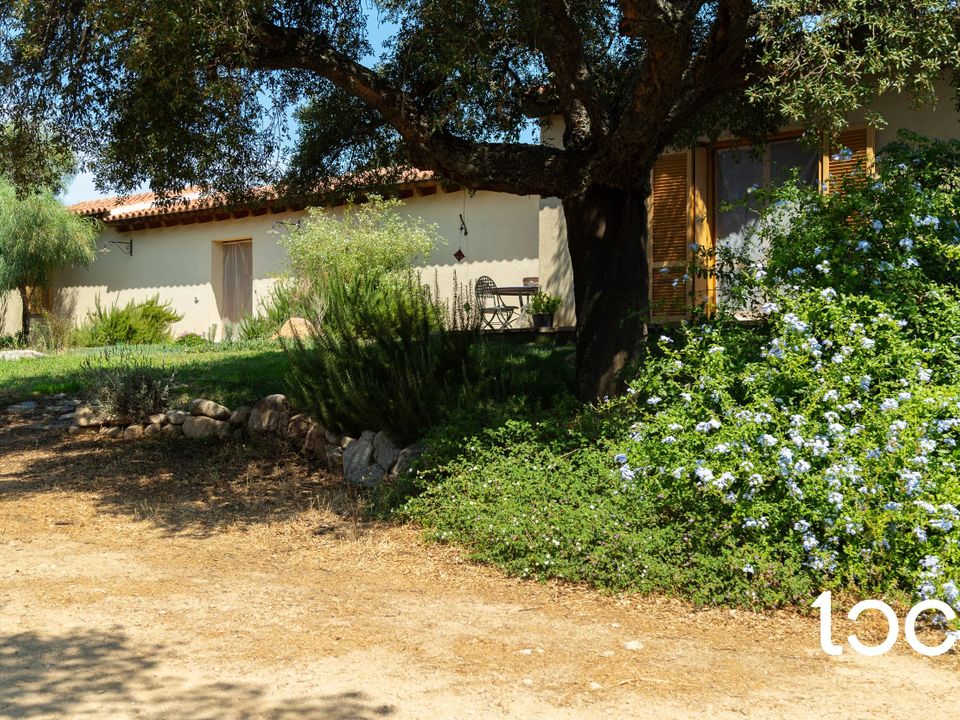 Villa i Padru, Olbia Tempio - foto 3