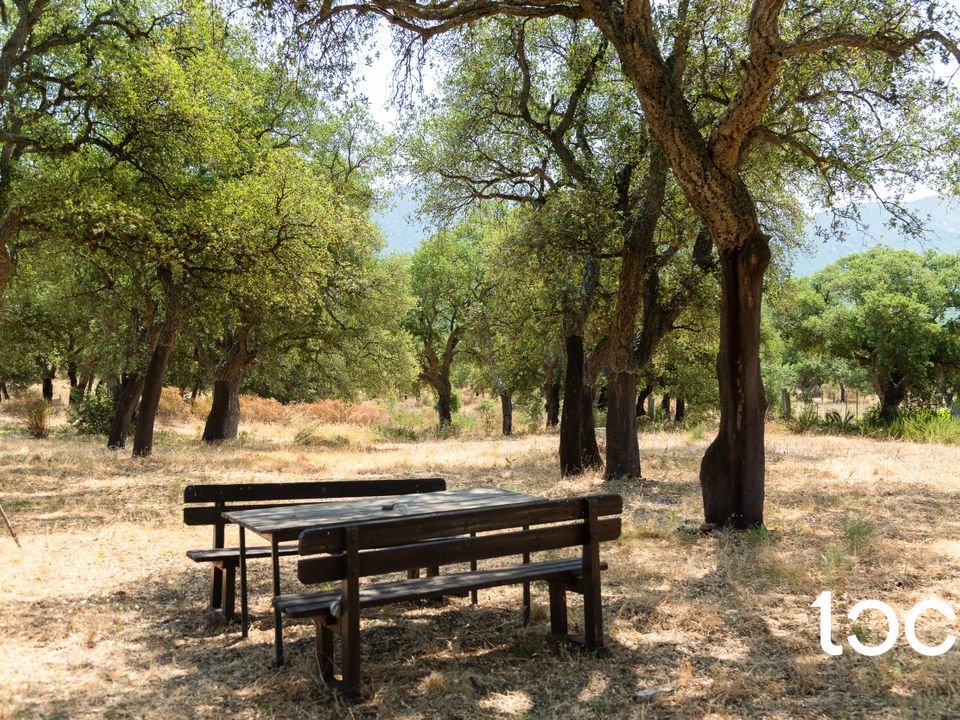 Villa i Padru, Olbia Tempio - foto 4