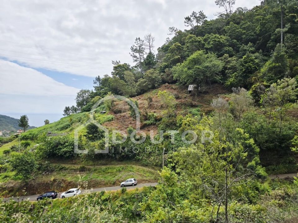 Helårsgrund i Machico, Madeira - foto 1