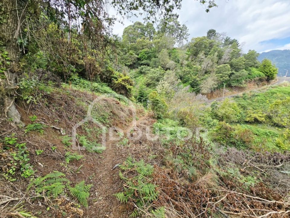 Helårsgrund i Machico, Madeira - foto 4