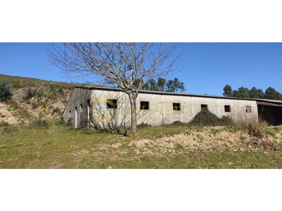 Gård i Gestaco, Porto - bilde 2