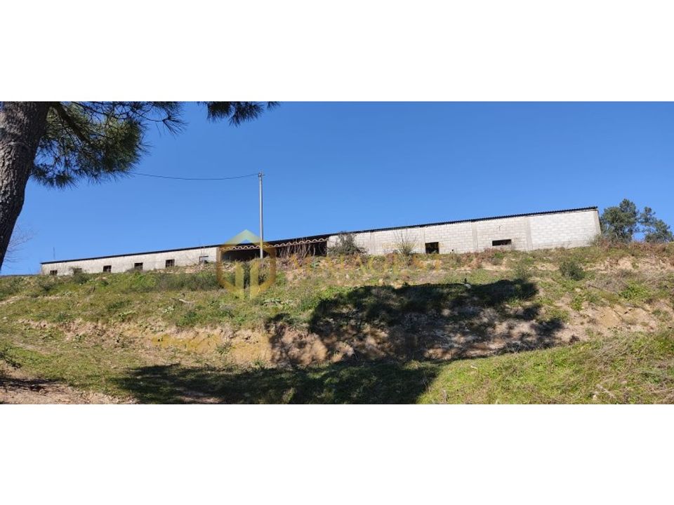 Gård i Gestaco, Porto - bilde 3