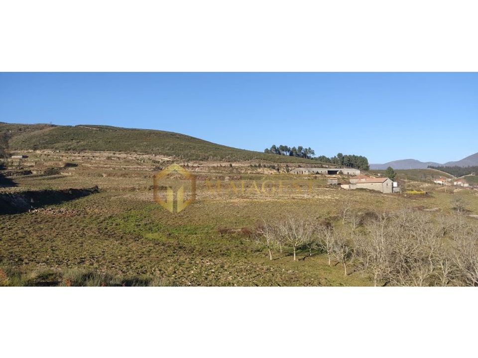 Gård i Gestaco, Porto - bilde 5