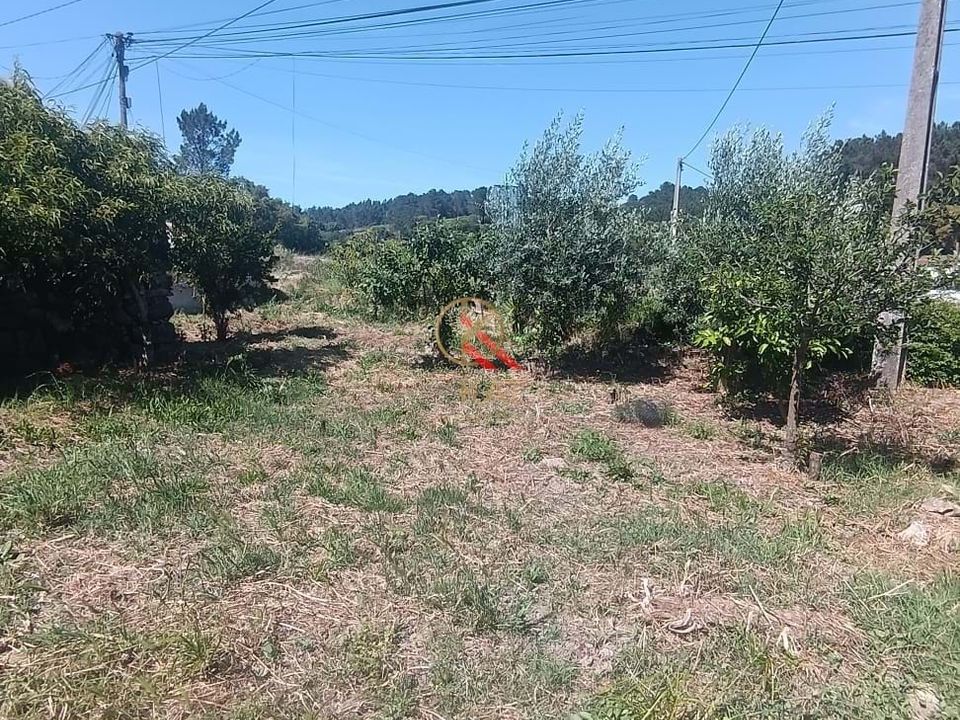 Helårsgrund i Lousa, Coimbra - foto 5