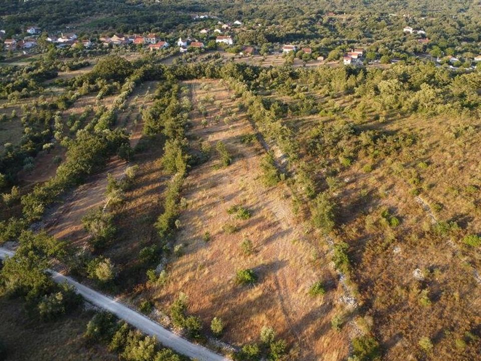 Helårsgrund i Ferreira do Zezere, Santarem - foto 2