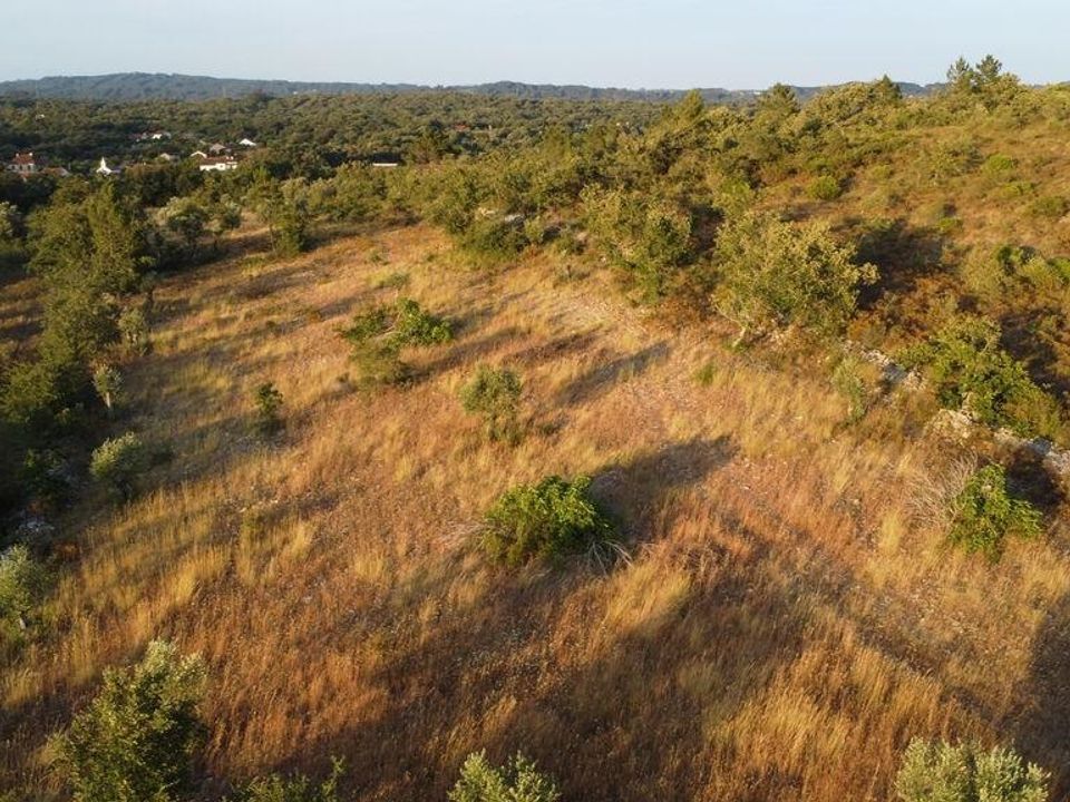Helårsgrund i Ferreira do Zezere, Santarem - foto 3