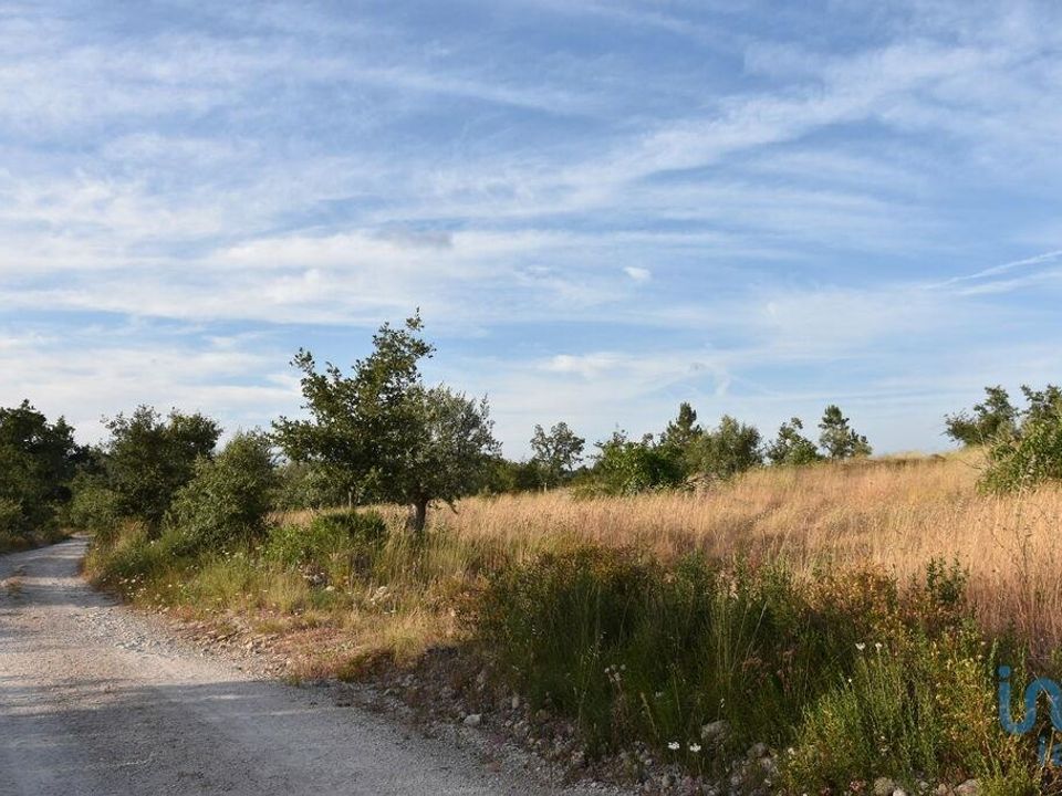 Helårsgrund i Ferreira do Zezere, Santarem - foto 4