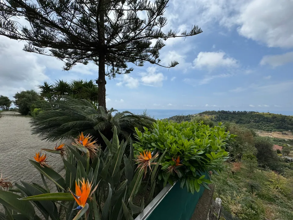Villa i Castellaro, Imperia - foto 1