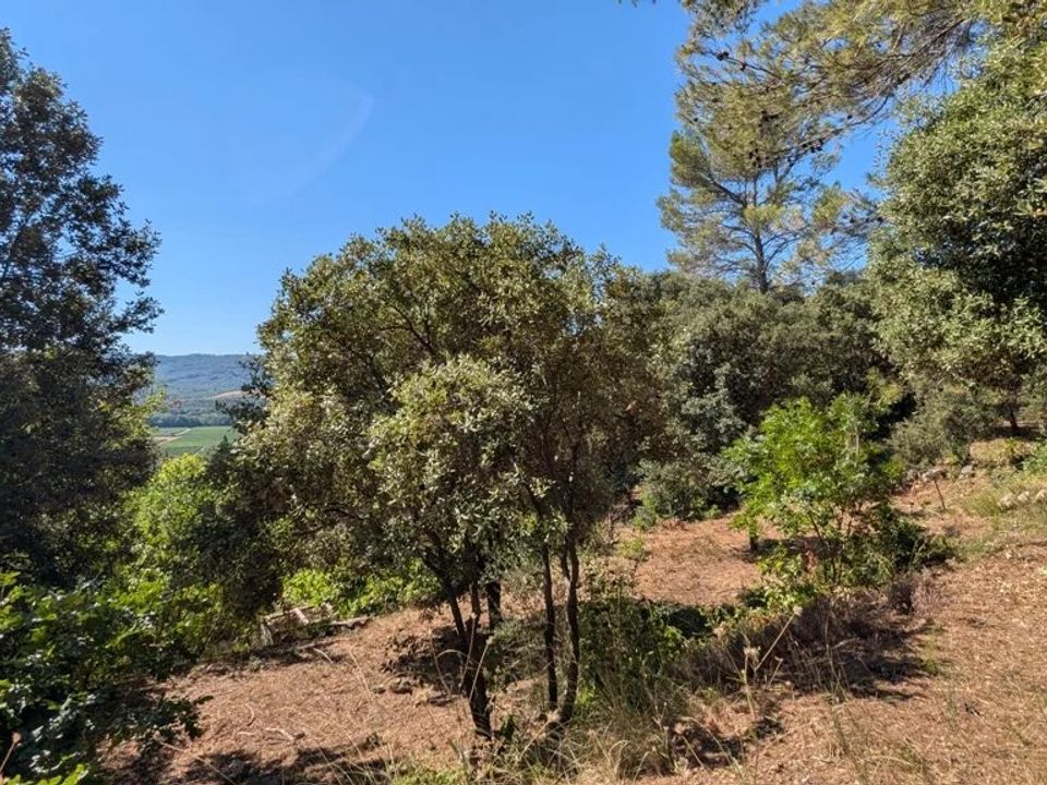 Działka: Montfort-sur-Argens, Var – zdjęcie 3