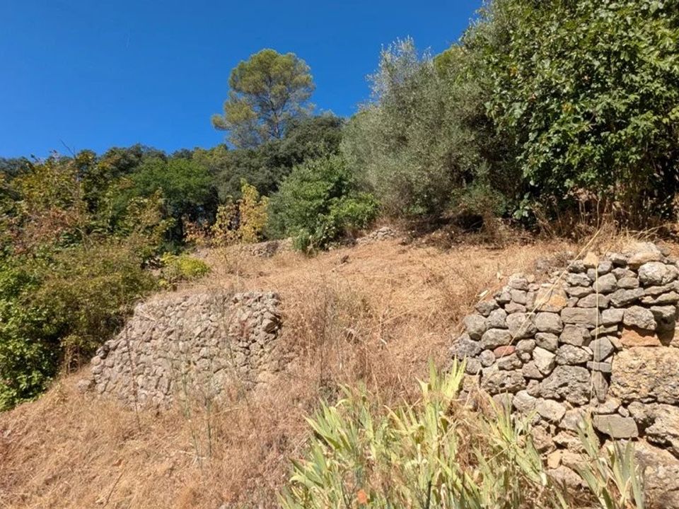 Działka: Montfort-sur-Argens, Var – zdjęcie 4