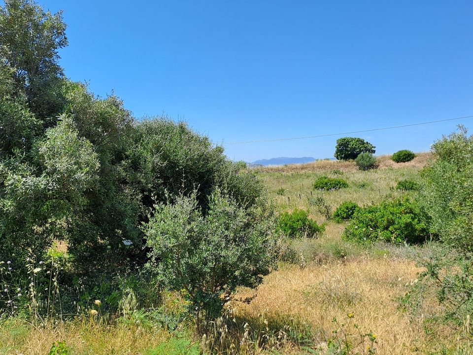 Erhvervsejendom i Settimo San Pietro, Cagliari - foto 1