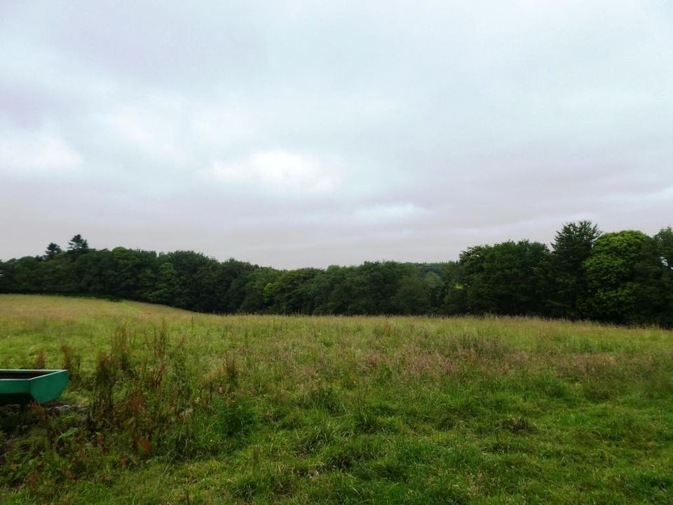 Tomt i Plouray, Morbihan - bilde 1