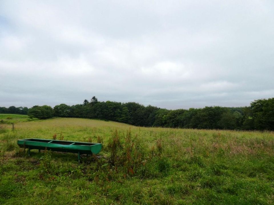 Tomt i Plouray, Morbihan - bilde 5