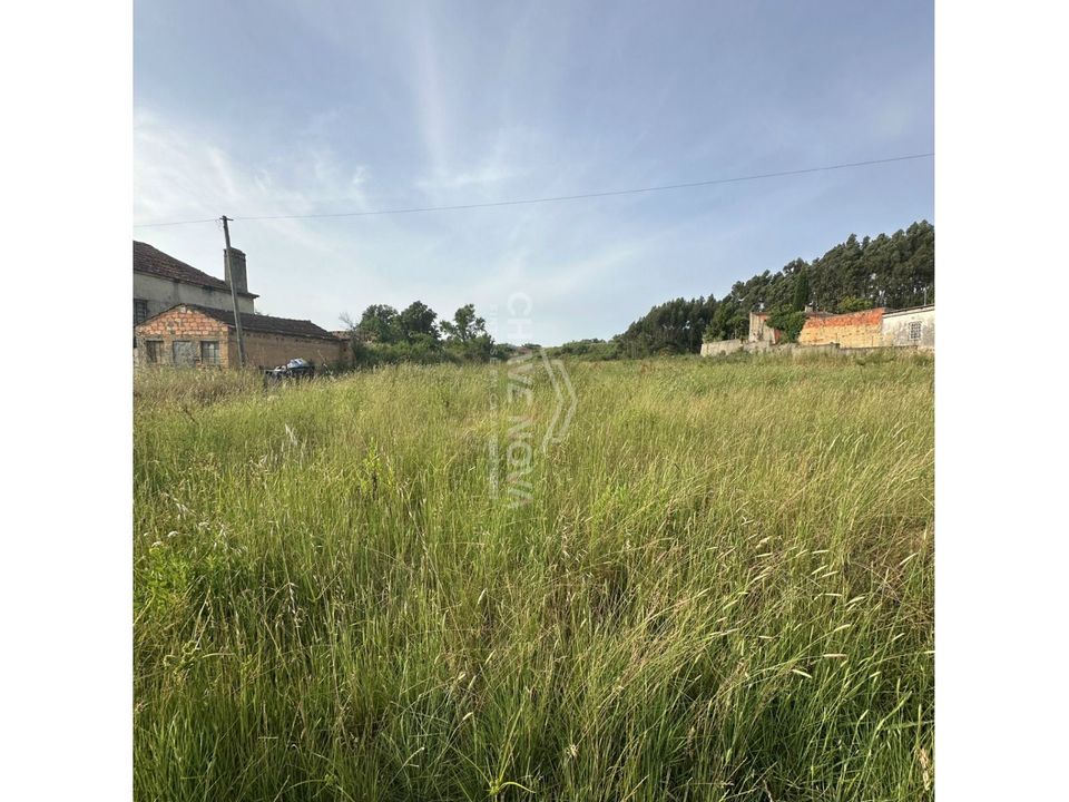 Helårsgrund i Anadia, Aveiro - foto 1