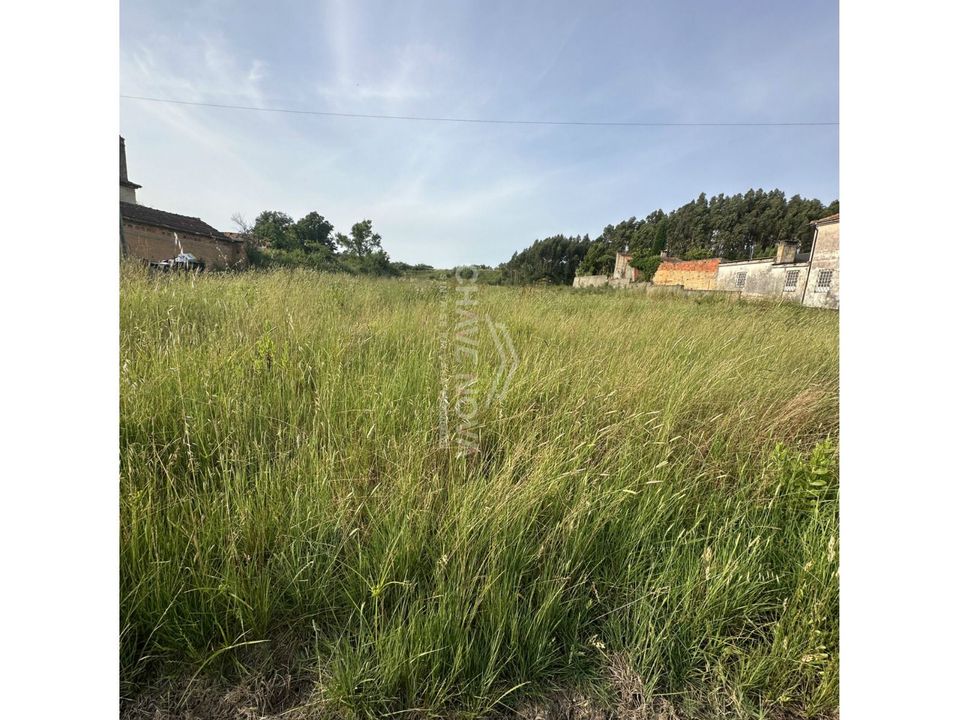 Helårsgrund i Anadia, Aveiro - foto 2