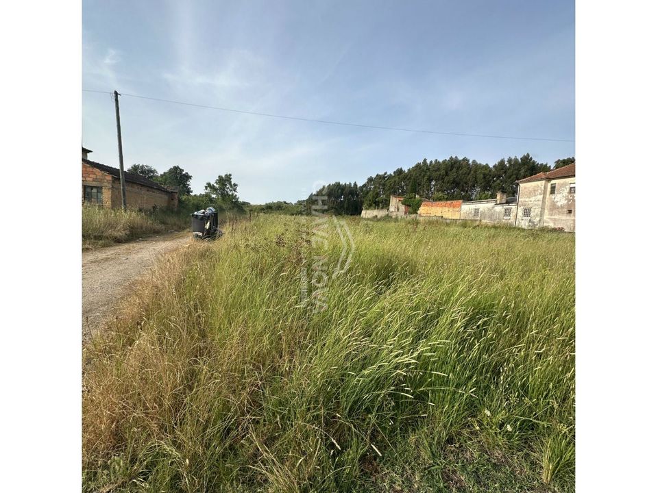 Helårsgrund i Anadia, Aveiro - foto 3