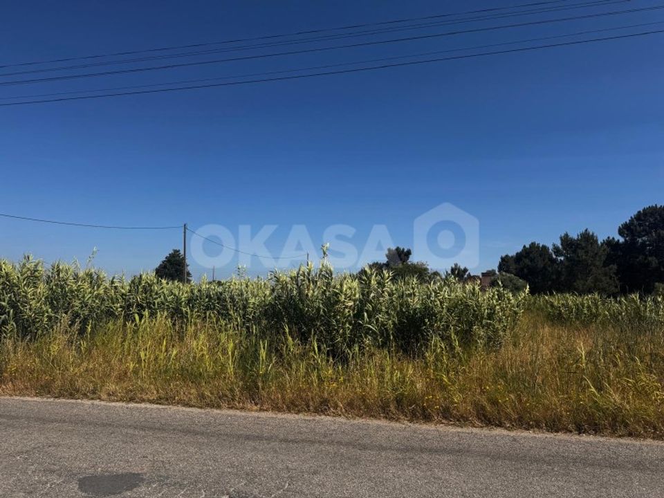 Helårsgrund i Palmela, Setubal - foto 4