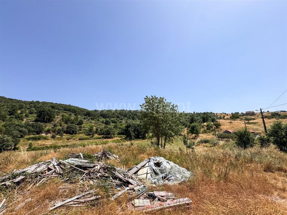 Helårsgrund i Celorico da Beira, Guarda - foto 4