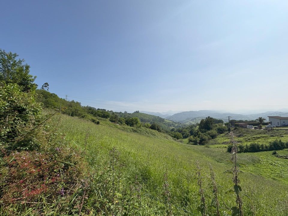 Terra a Santullano De Las Regueras, Asturias - foto 5