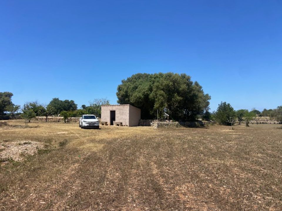Landejendom i Felanitx, Mallorca - foto 5